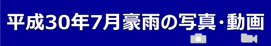 �����R�O�N�V�����J�̎ʐ^�E����