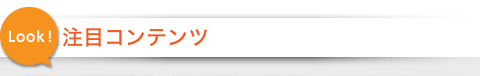 注目コンテンツ