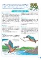 水辺の安全ハンドブック
