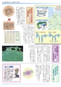 くにびきの川第05号