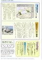 くにびきの川第08号