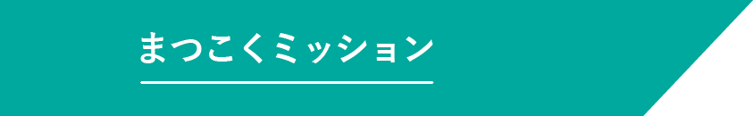 見出し まつこくミッション