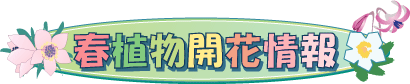 R쑐Jԏ
