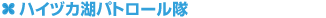nCdJ΃pg[