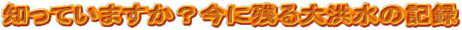 �m���Ă��܂����H���Ɏc���^���̋L�^