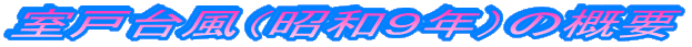 ���ˑ䕗�i���a�X�N�j�̊T�v