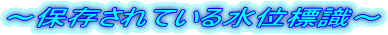 �`�ۑ�����Ă��鐅�ʕW���`