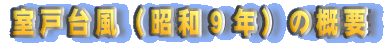 ���ˑ䕗�i���a�X�N�j�̊T�v