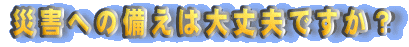 �ЊQ�ւ̔����͑��v�ł����H