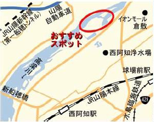 酒津さかづ付近水辺広場の位置図