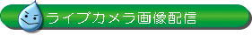 ���C�u�J�����摜�z�M 