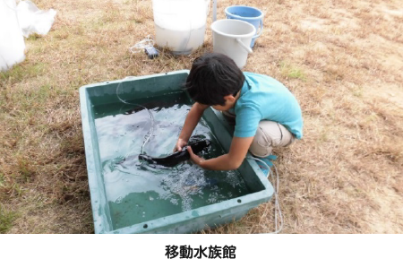 移動水族館