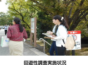 回遊性調査実施状況