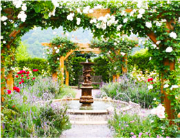 深山イギリス庭園