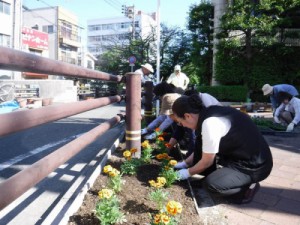 夏の花を植えました！　清輝学区「花いっぱい街づくり運動」実行委員会　活動