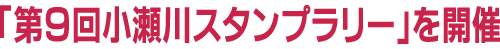�u���񏬐���X�^���v�����[�v���J��