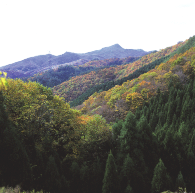 冠山