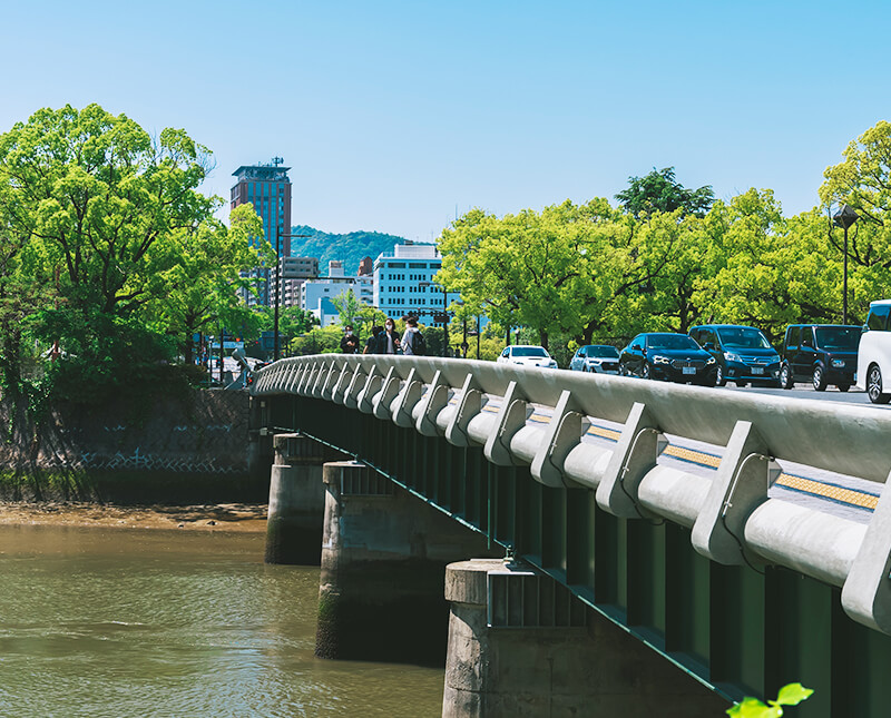 Peace Bridge area