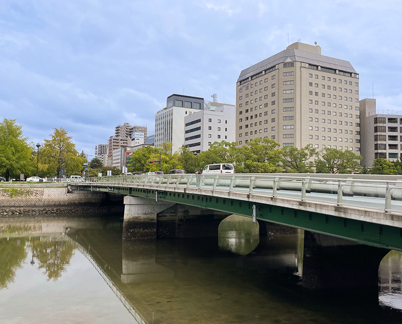 The western end of Peace Bridge  area