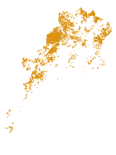 植林の分布