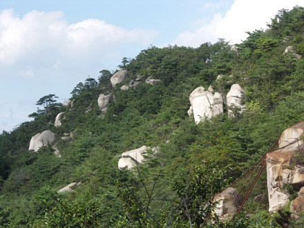 経小屋山：岩場のアカマツ林