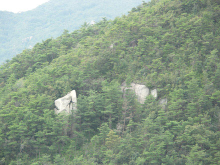 経小屋山：岩場のアカマツ林