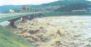 大芝水門と旧太田川