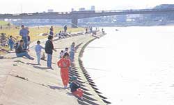 太田川(放水路)でのハゼ釣り