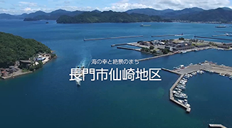ムービー