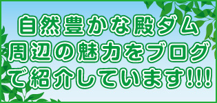 ダムカード⇨殿ダム 8月3日限定配布品　　　　　夏 ＋ 冬Ver. ダムカード⇨殿ダム 8月3日限定配布品 夏 ＋ 冬Ver. ダムカード