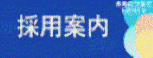 採用案内