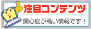 注目コンテンツ