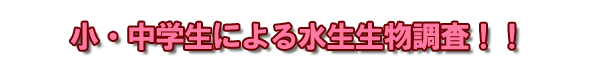 ���E���w���ɂ�鐅�����������I�I