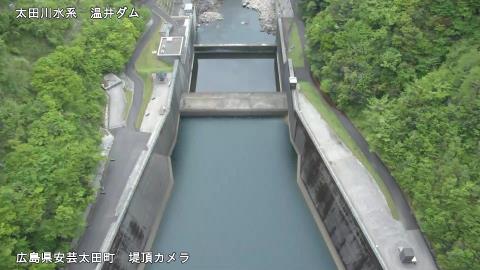 2025年5月3日16時 の様子