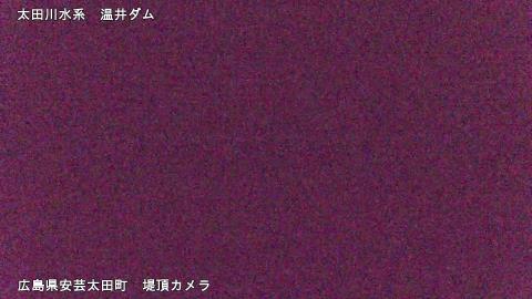 2025年5月3日19時 の様子