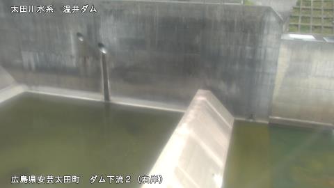 2025年5月3日11時 の様子