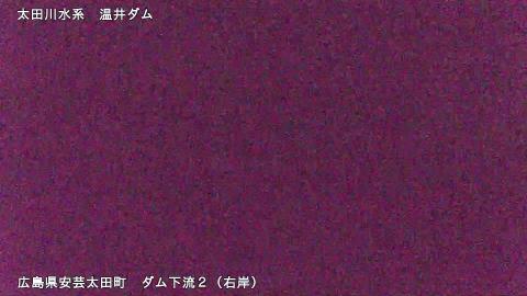 2025年5月3日19時 の様子