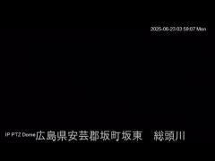 2025年6月14日3時 の様子