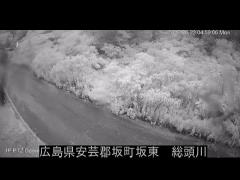 2025年6月14日4時 の様子
