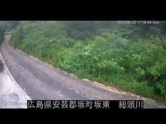 2025年6月14日17時 の様子