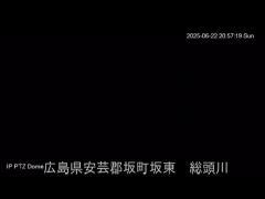 2024年5月19日20時 の様子