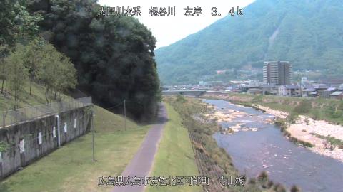2025年5月12日11時 の様子