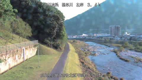 2025年5月12日17時 の様子