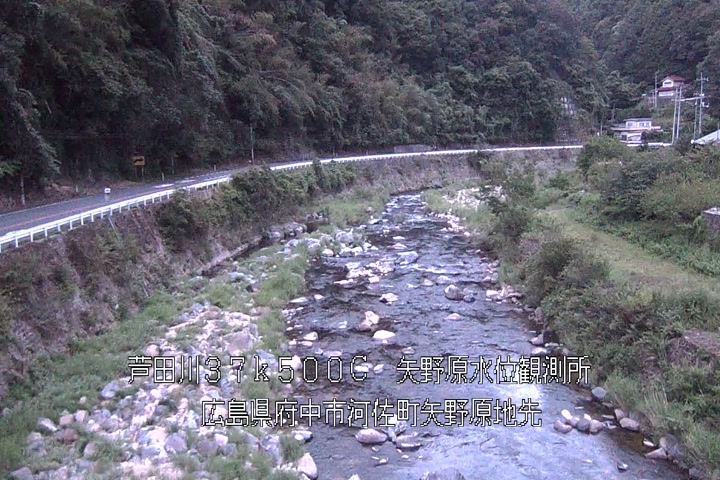 08月17日19時00分