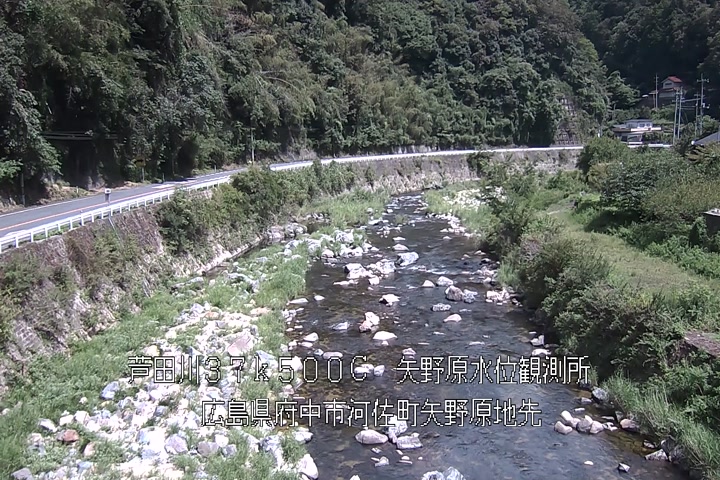 08月19日11時00分
