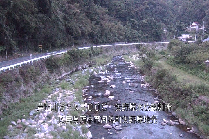 08月19日19時00分
