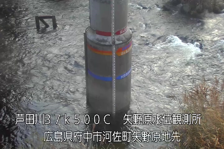 12月11日08時00分