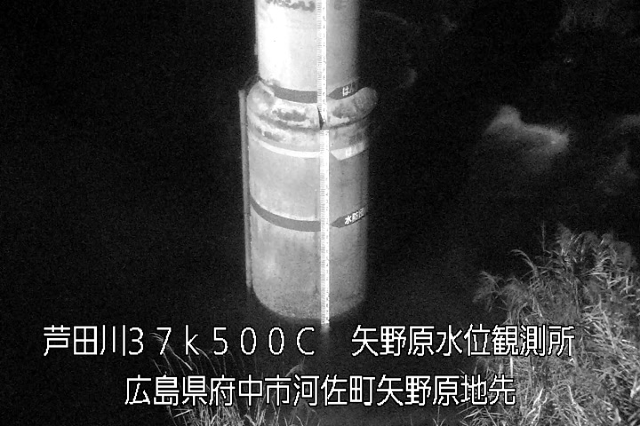 12月11日20時00分