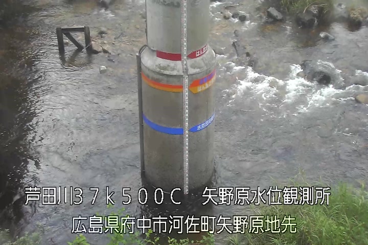 08月04日09時00分