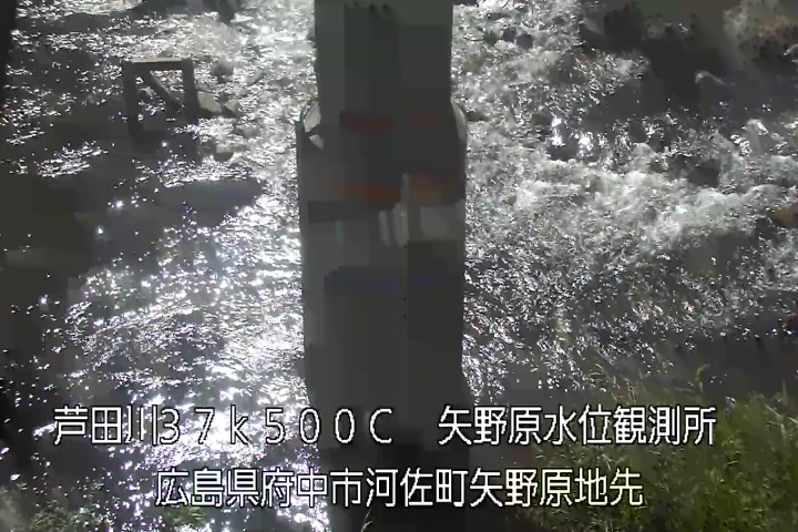 08月06日09時00分